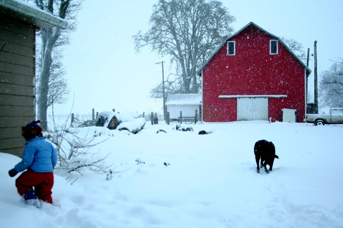 farm, snow, snow days, fun